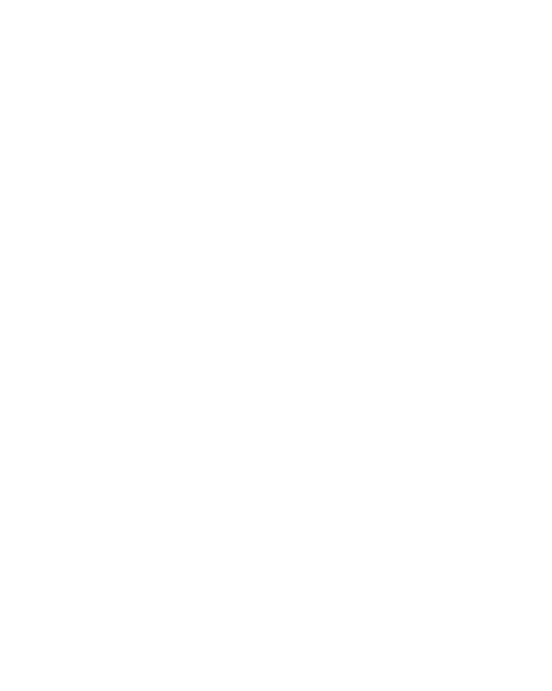  Prepare for a Peaceful Protest 